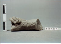 statua/ braccio