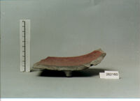 coppa/ forma parzialmente ricostruibile