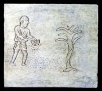 Lastra con seminatore