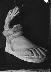 Piede colossale