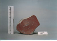 coppa/ fondo