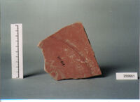 PIATTO/ FRAMMENTO