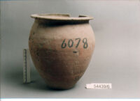 OLLA
