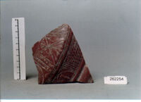 coppa/ forma parzialmente ricostruibile