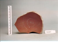 coppa/ forma parzialmente ricostruibile