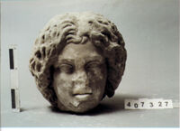 TESTA FEMMINILE