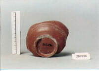 coppa/ forma parzialmente ricostruibile