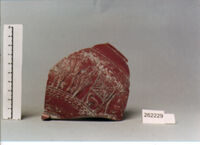 coppa/ forma parzialmente ricostruibile