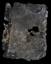 Lamina iscritta