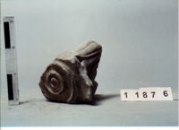 CAPITELLO IONICO DI COLONNA