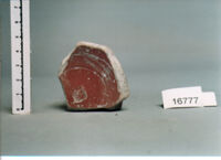 coppa/ fondo