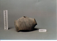 olla perforata