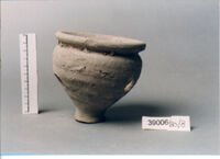 olla perforata