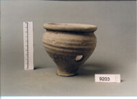 olla perforata