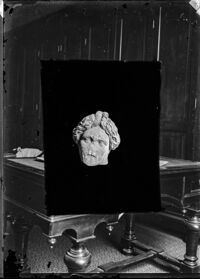 Testa di Apollo Liceo