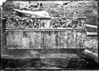 Coperchio di sarcofago con eroti vendemmianti