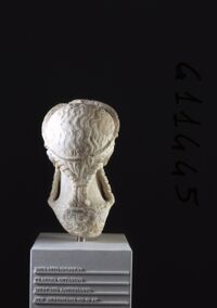 Ritratto di principessa neroniana