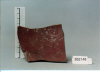 coppa/ forma parzialmente ricostruibile