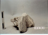 ELEMENTO ARCHITETTONICO