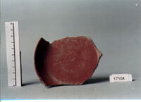 COPPA/ FORMA RICOSTRUIBILE