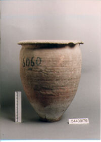 olla perforata