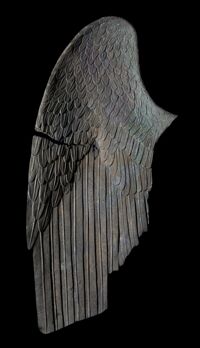 Ala destra di Vittoria