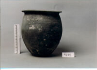 OLLA