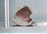 coppa/ forma parzialmente ricostruibile