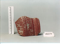 coppa/ forma parzialmente ricostruibile