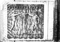 Lotta per il tripode