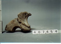 capitello corinzio/ frammento