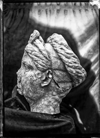 Ritratto di Sabina (?)