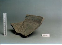 SCODELLA/ FORMA RICOSTRUIBILE