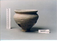 olla perforata