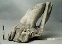 statua maschile/ gamba