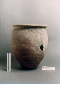 OLLA