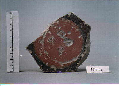Titolo immagine