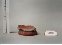 coppa/ forma parzialmente ricostruibile