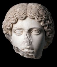 Testa di amazzone tipo Ercolano-Tivoli