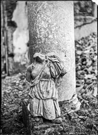 Torsetto femminile