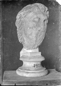 Testa di Gallo