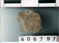 LASTRA DI RIVESTIMENTO