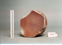 coppa/ fondo