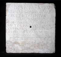 Lastra sepolcrale di Aresis