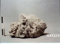 CAPITELLO CORINZIEGGIANTE