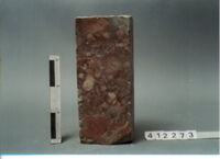 ELEMENTO ARCHITETTONICO