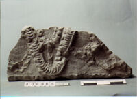 ELEMENTO ARCHITETTONICO