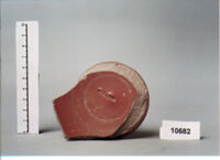 coppa/ fondo