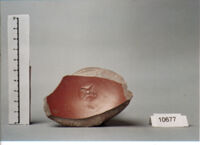 coppa/ forma parzialmente ricostruibile