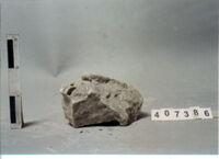 ELEMENTO ARCHITETTONICO